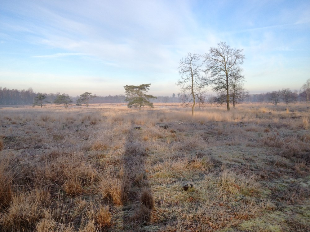 Omgeving_Aan_de_Groene_Papegaai08