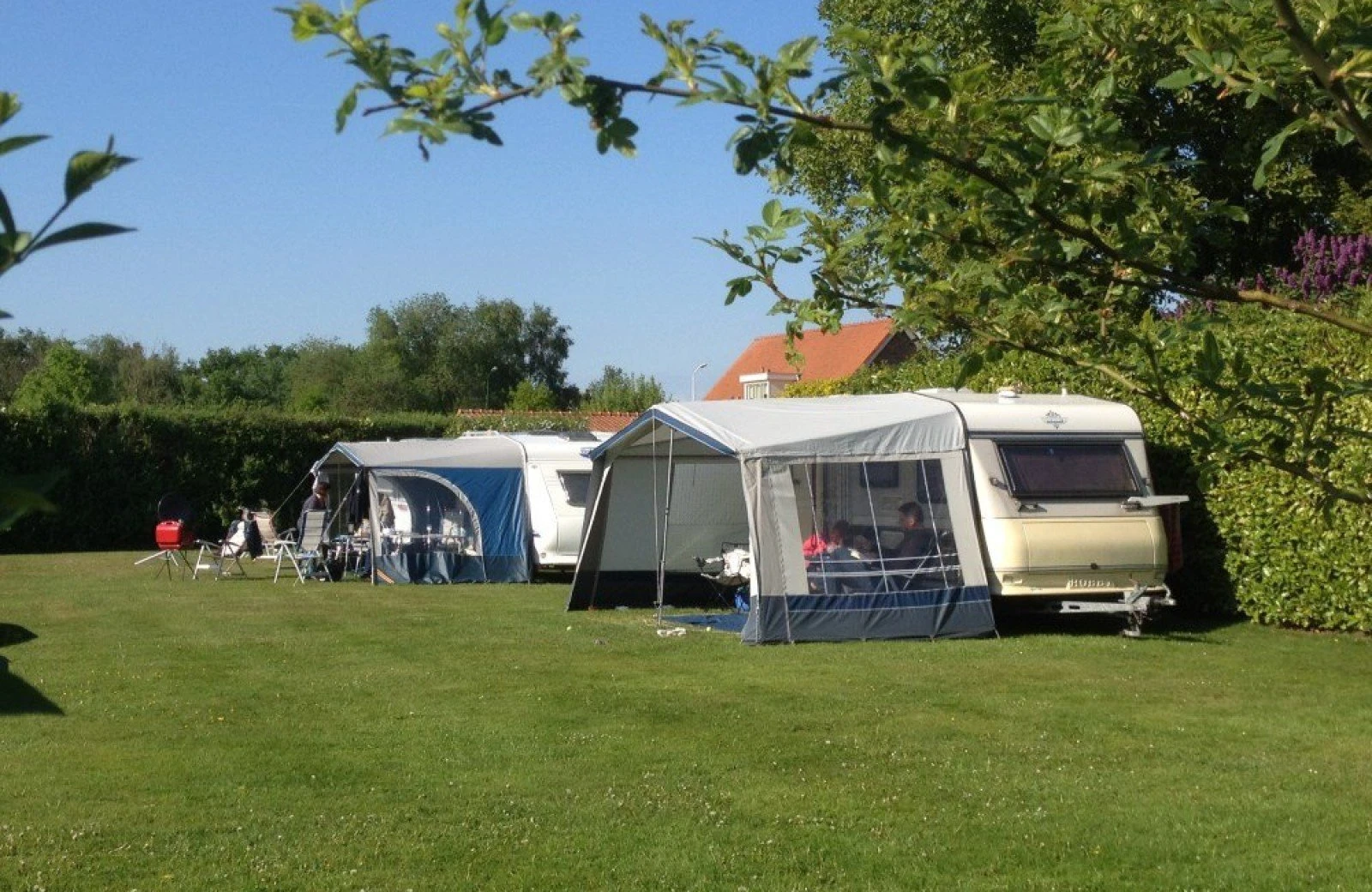 Aan de groene papegaai32