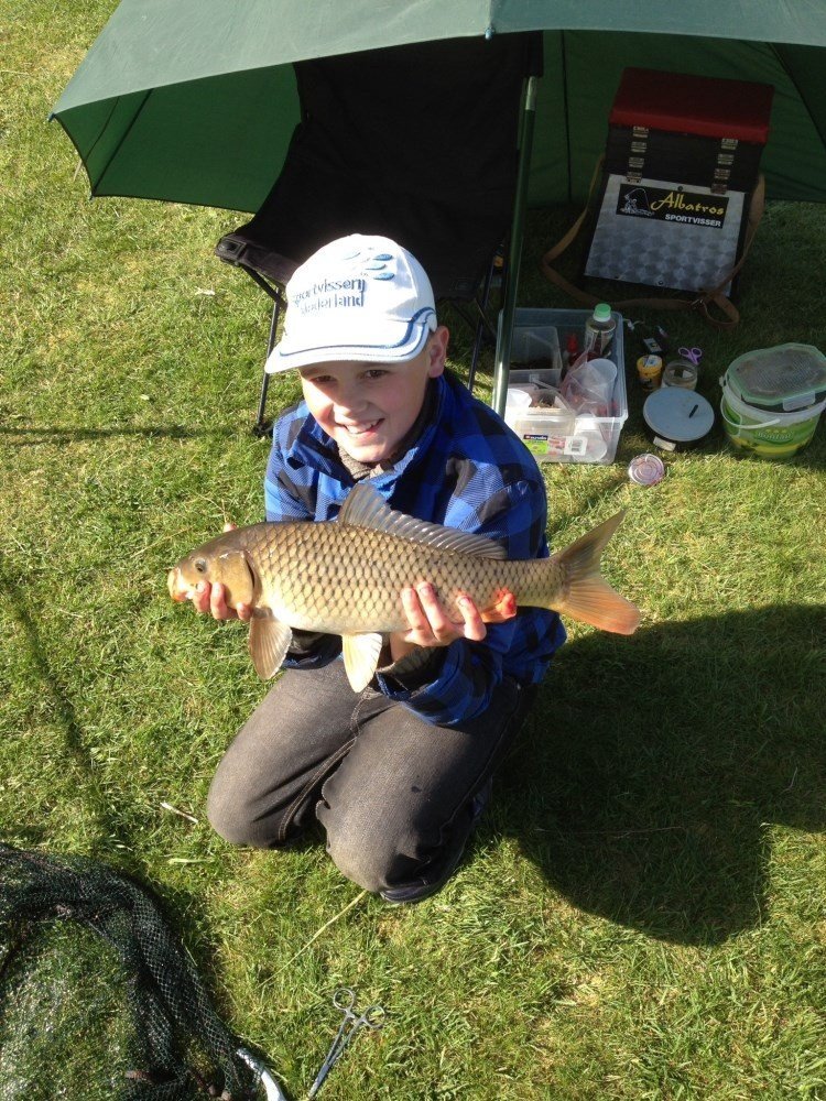 Aan de groene papegaai38