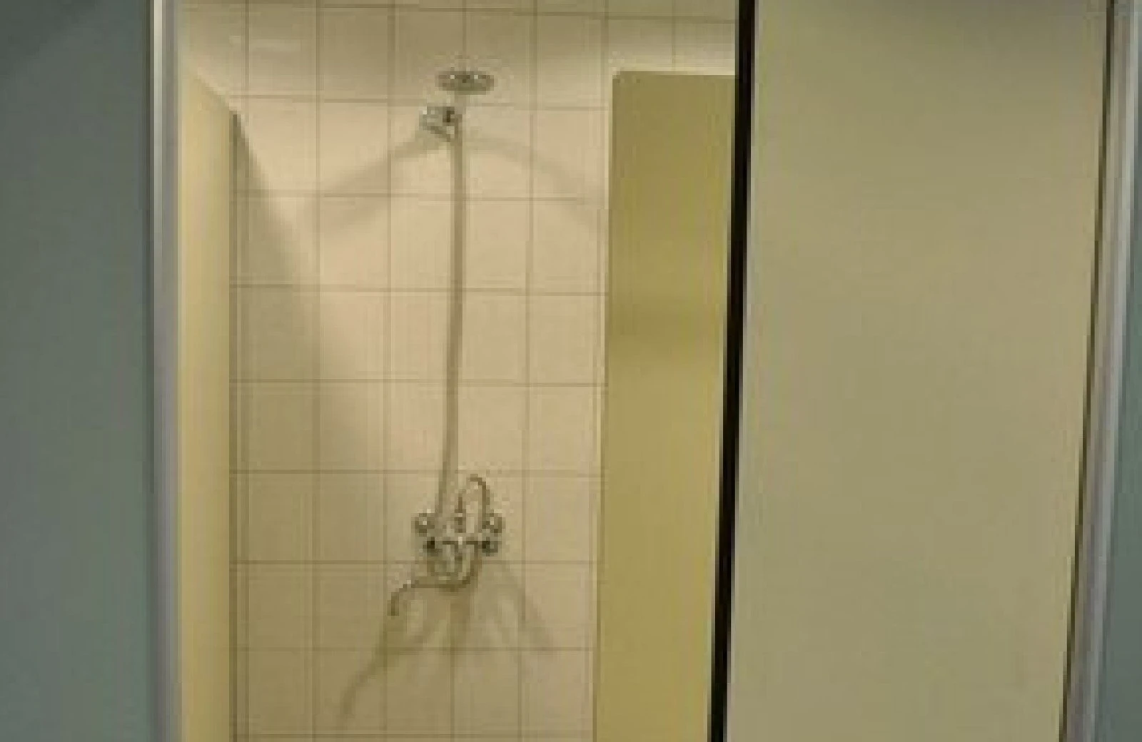 Aandegroenepapegaai sanitair 2