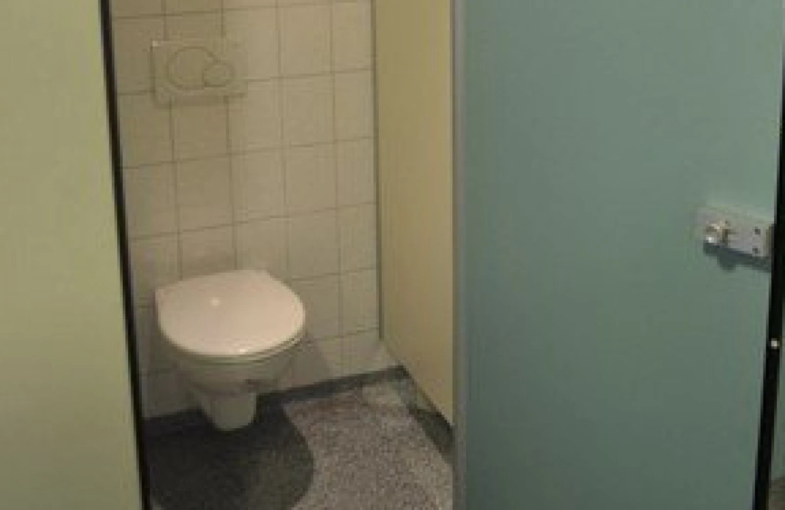 Aandegroenepapegaai sanitair 3