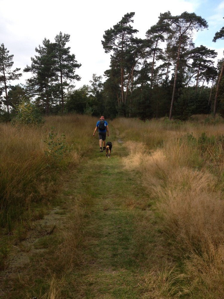 Omgeving aan de groene papegaai03