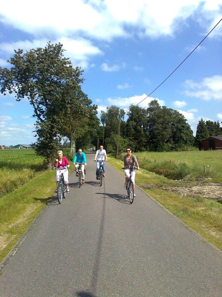 Omgeving aan de groene papegaai10