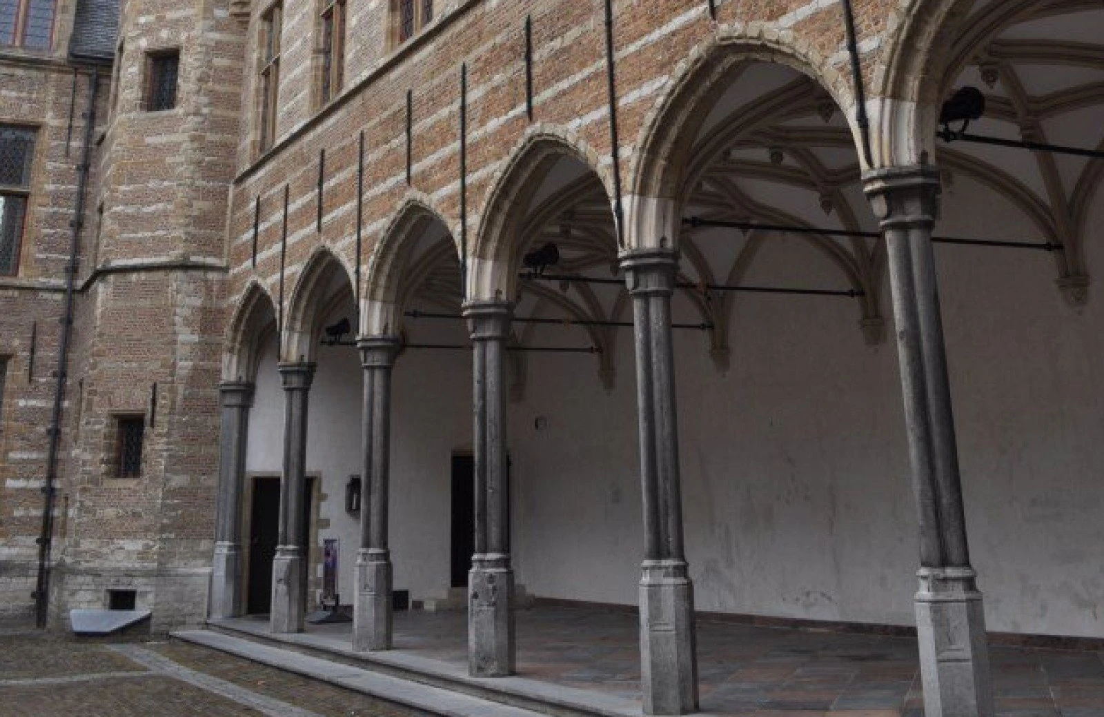 Omgeving aan de groene papegaai13