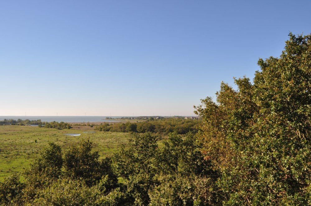 Omgeving aan de groene papegaai15