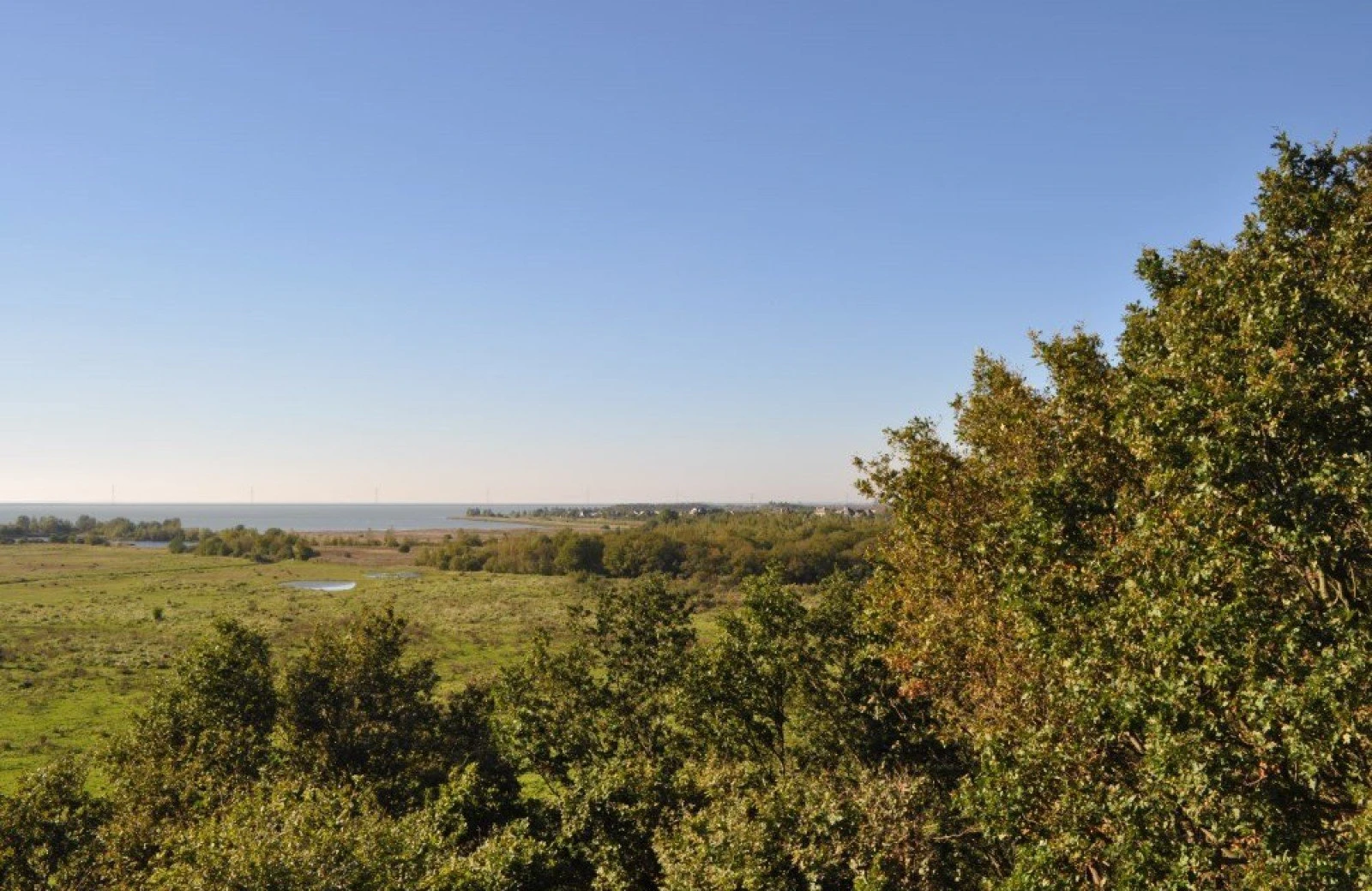 Omgeving aan de groene papegaai15