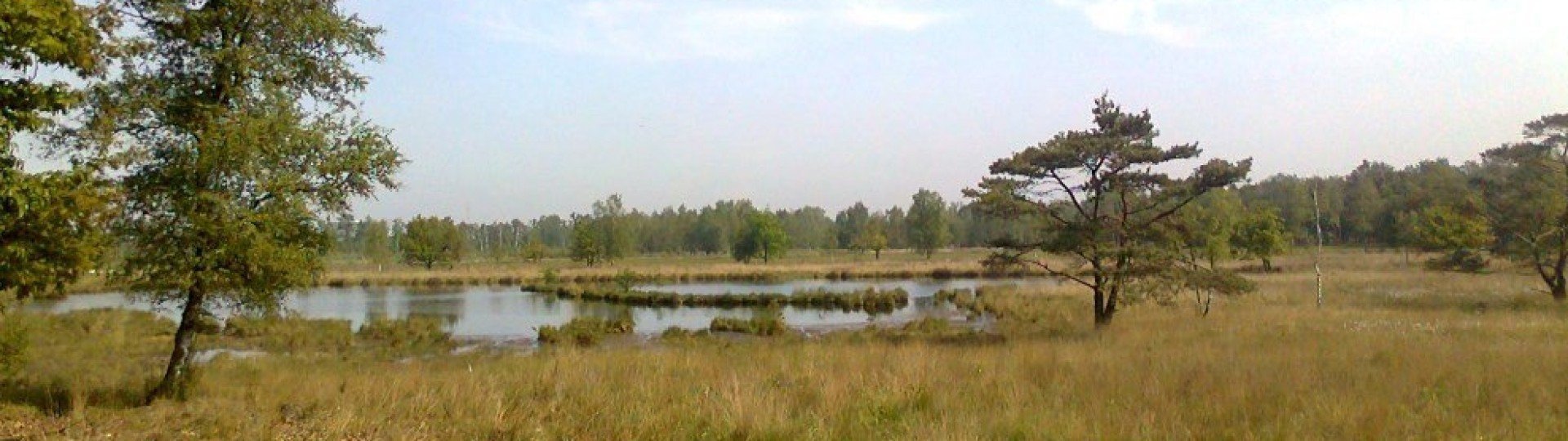 Omgeving aan de groene papegaai19