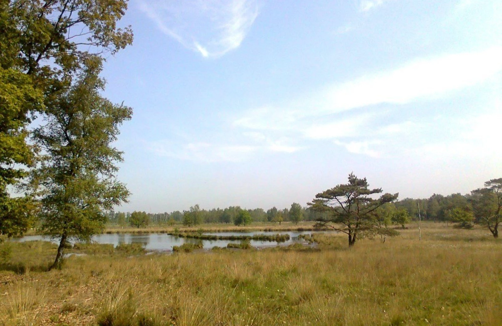 Omgeving aan de groene papegaai19